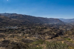 Website-BlogPeru-02