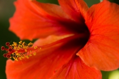 Website-SAL18250-06