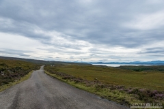 NM_20170822_15-30-53_ILCA-77M2_1080p