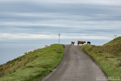 NM_20170822_15-42-30_ILCA-77M2_1080p